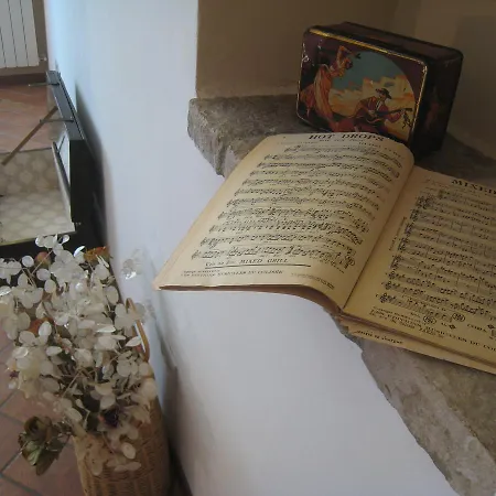 Musicando בית הארחה